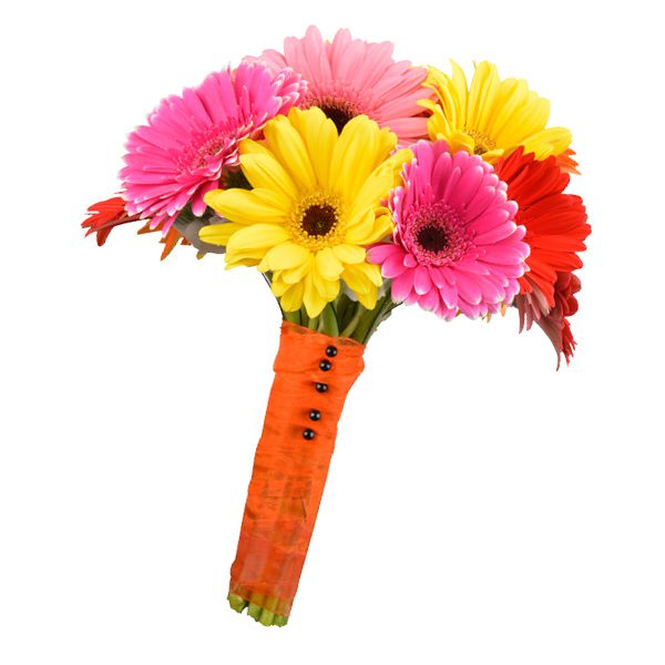 Multi-colored gerbera daisies with hidden hydrangeas. Toni’s Flowers and Gifts, Tulsa.