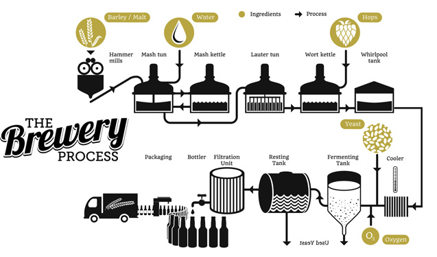 brewery-process.jpg (637×374) | Brewing process, Beer theme, Brewery