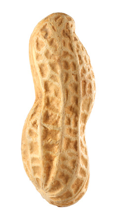 peanut-shutterstock_151271888