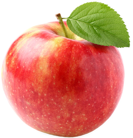 shutterstock_137478770