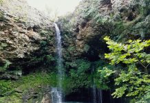 Cascades, Oases and Grasslands