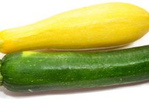 Summer Squash Time