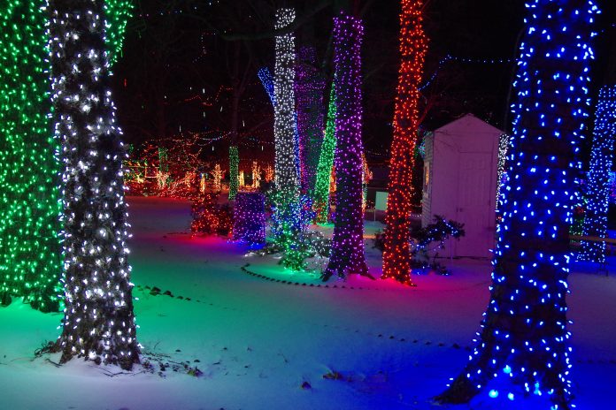 Alight with Holiday Cheer