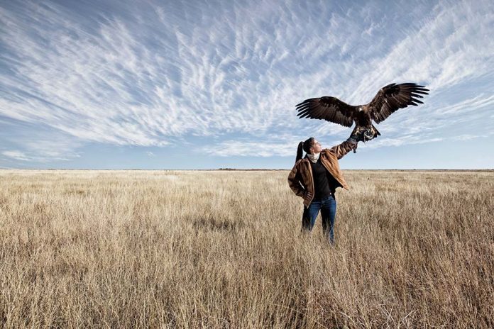 Training Feathered Dragons