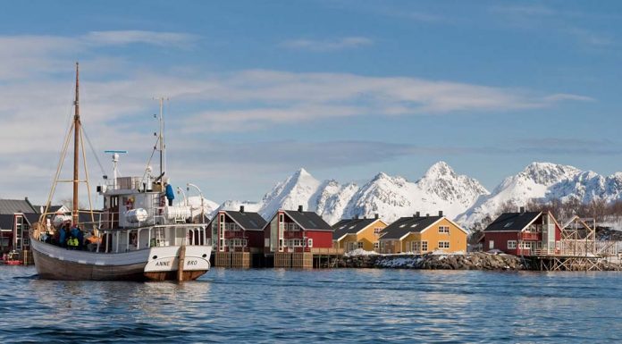 A Mild Place in Arctic Harshness