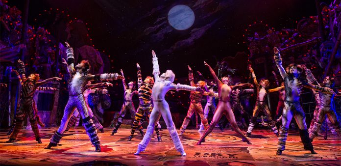 Cats, Gods and Casting Spells