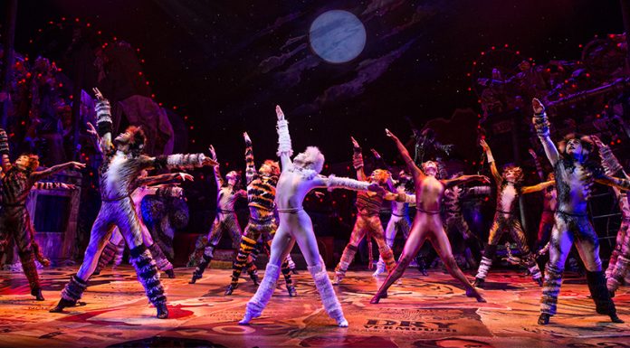 Cats, Gods and Casting Spells