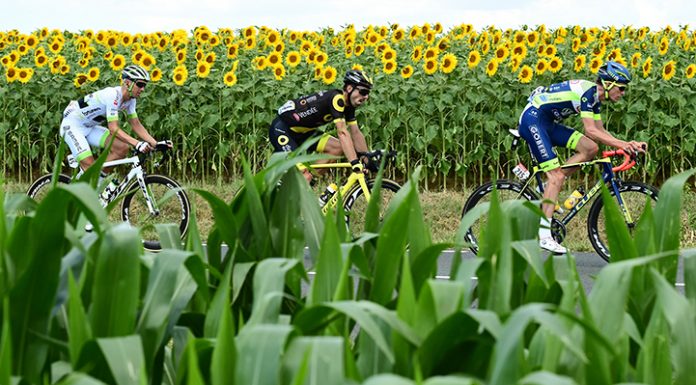 Vive Le Tour de France