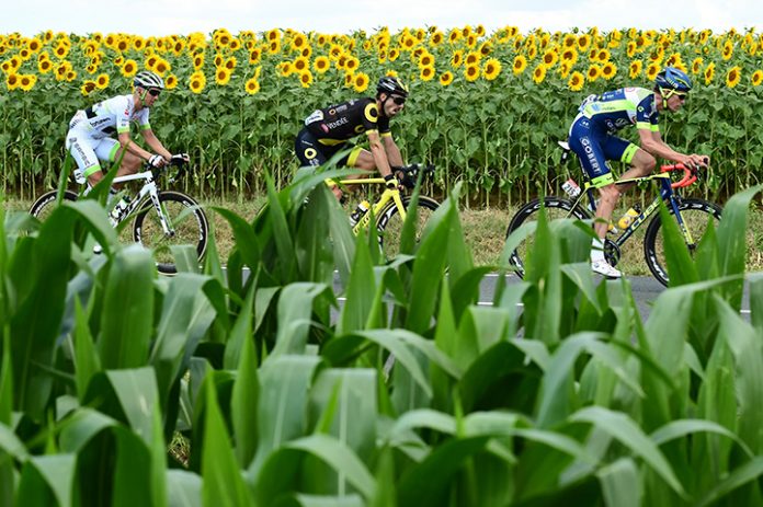 Vive Le Tour de France