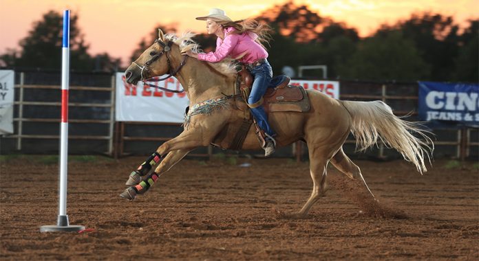 All Things Equestrian