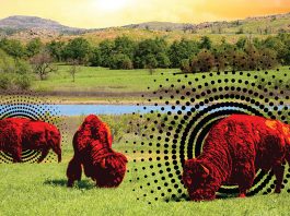 The Best of the Best 2019