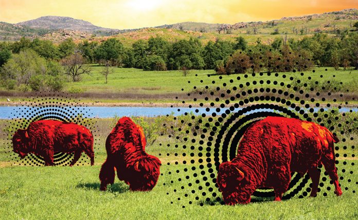 The Best of the Best 2019