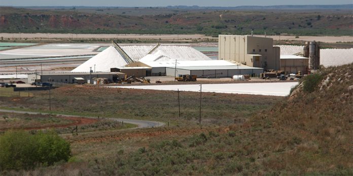 Where Everything’s Just Brine