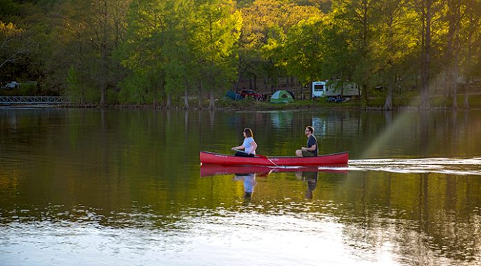 Into the Wild … with Caution