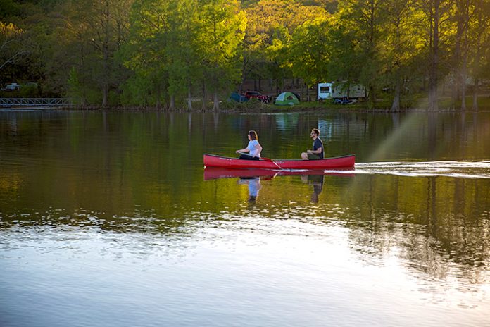 Into the Wild … with Caution