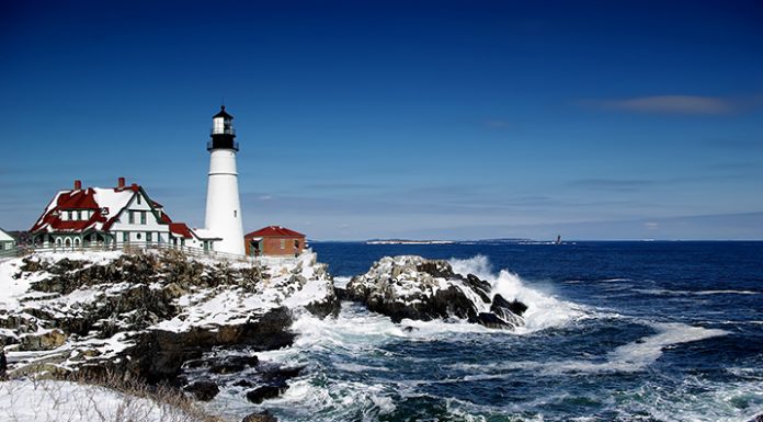 Ayuh, Get the Lobstah