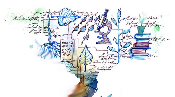 A Tour of Higher Education