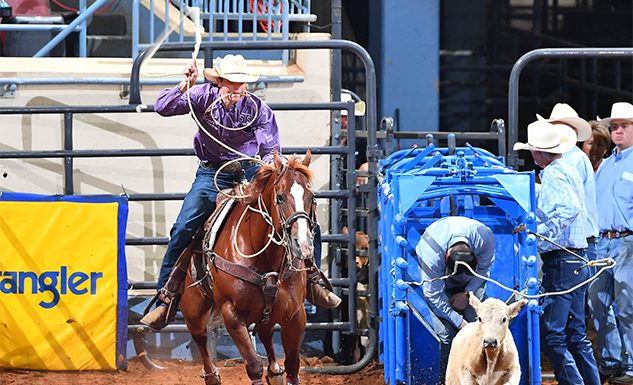 Bulls, Buckskins, Bays and Baseball