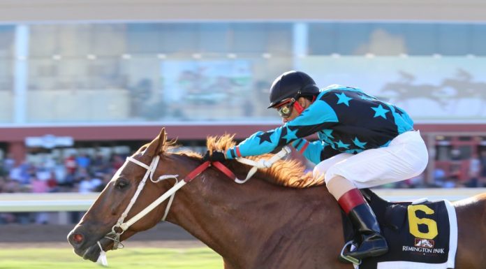 Woodworking, Speakers and horse racing