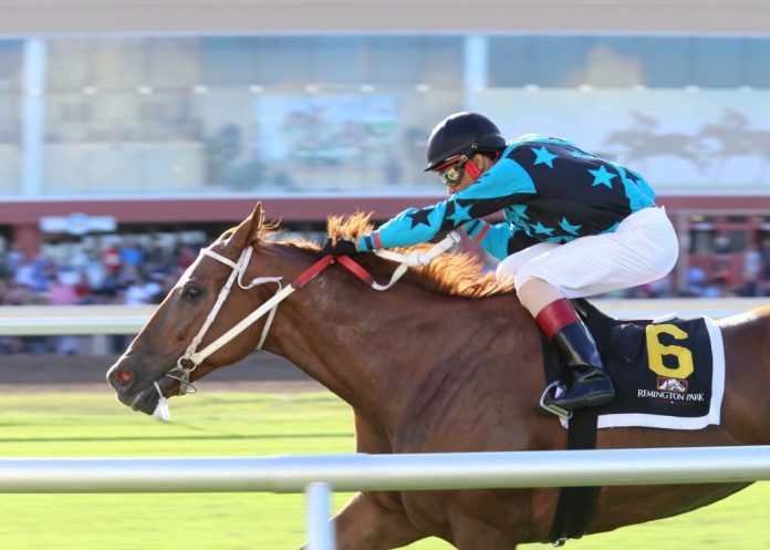 Woodworking, Speakers and horse racing