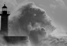 Silence, Horror and Weirdness