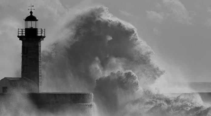 Silence, Horror and Weirdness