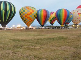 Festivals, Cruises and Pumpkins