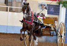 From Football to horsin’ around