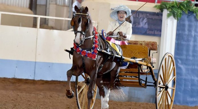 From Football to horsin’ around