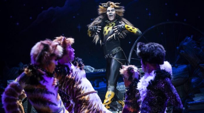 The Time Warp, Cats and Iconic Plays …