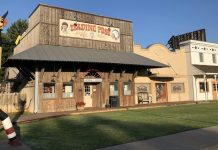 A Little Bit of Everything