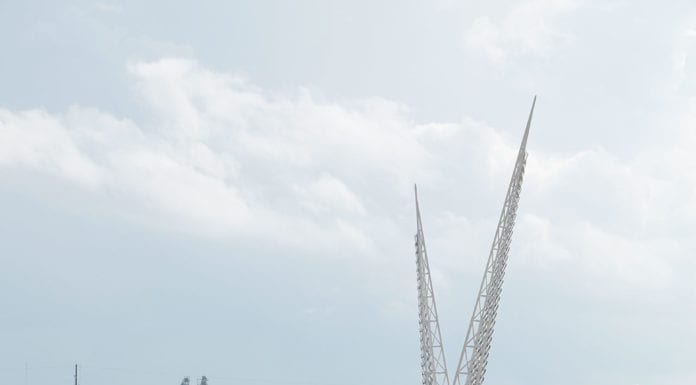 Scissortail Meets Skydance