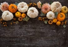 17 Events to Experience this Thanksgiving Weekend