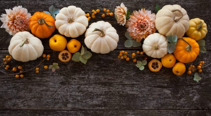 17 Events to Experience this Thanksgiving Weekend