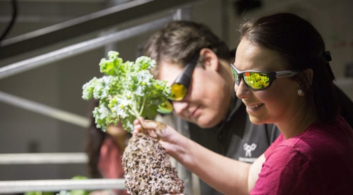 An Oklahoma Wormhole