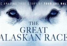 ‘All the World’s a Stage’