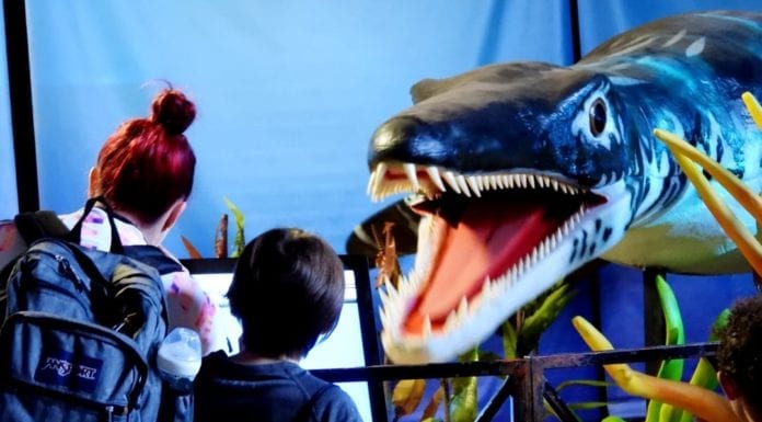 Trolls, Dinosaurs and Hoops High Jinks