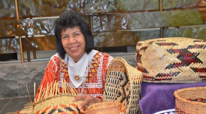 Interlaced Generations