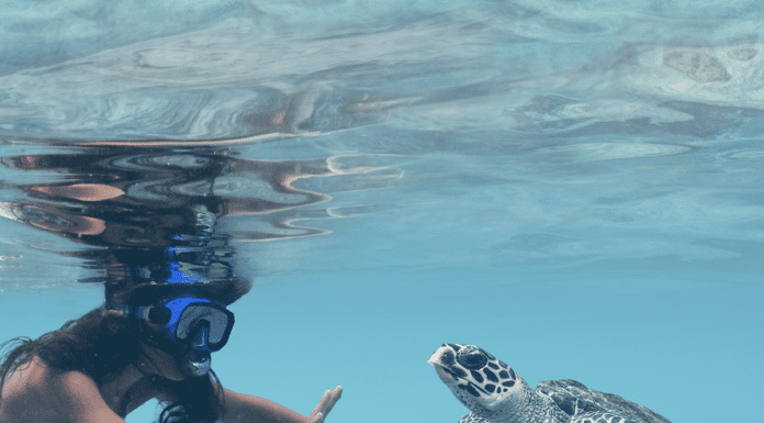 No Hurry, No Worries in Fiji