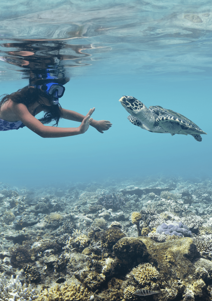 No Hurry, No Worries in Fiji