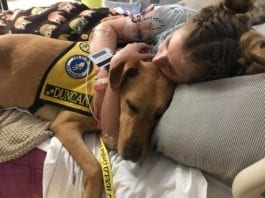Pawsitive Support