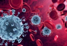 COVID-19: Information Regarding Testing