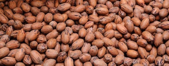 Tenacity, Pecans and Cowboy Hats