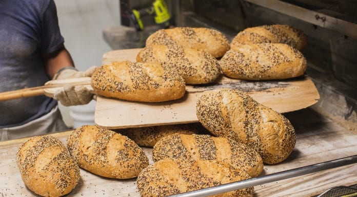 Beauty Just Beneath the Noise