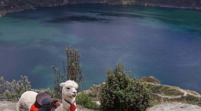 In the Glow of Quito