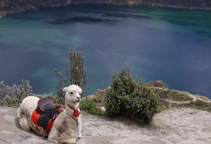 In the Glow of Quito