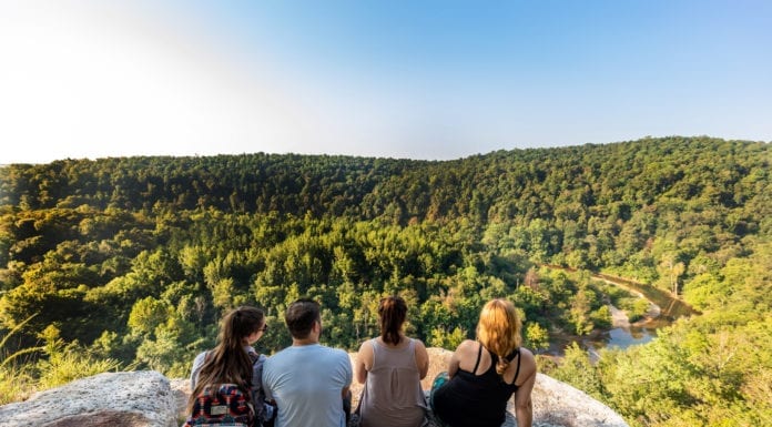 Step Back and Slow Down