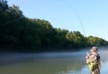 Hook, Line and Sinker