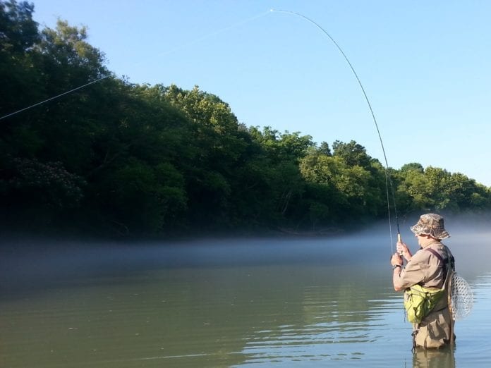 Hook, Line and Sinker