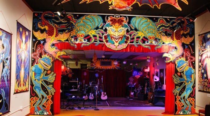 Ready to Bounce Back